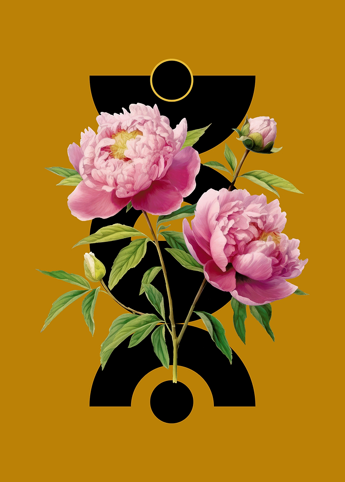 Pink Peonies with Geometric Shapes
