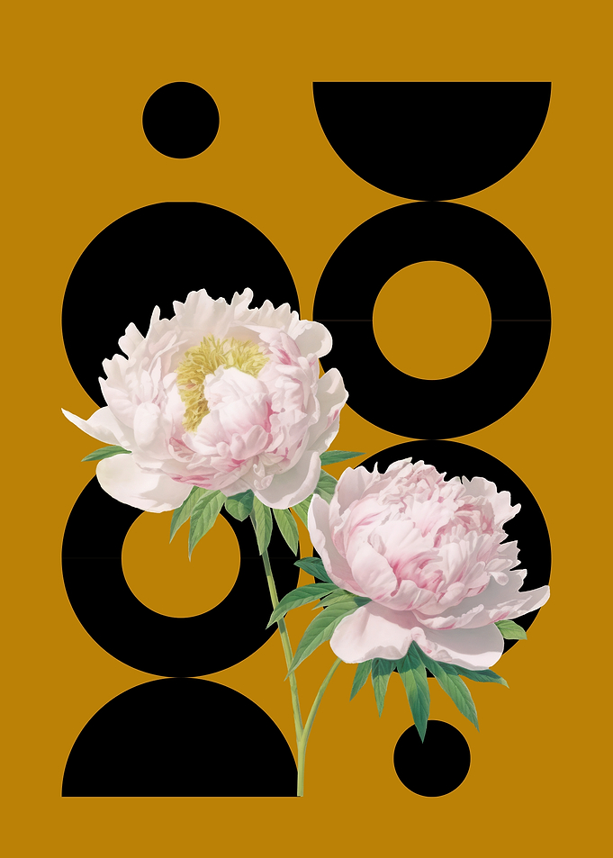 Floral Abstract Art