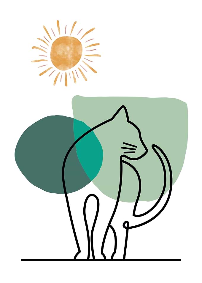 Cat Line Art with Sun