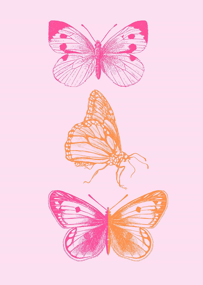 Pink and Orange Butterflies