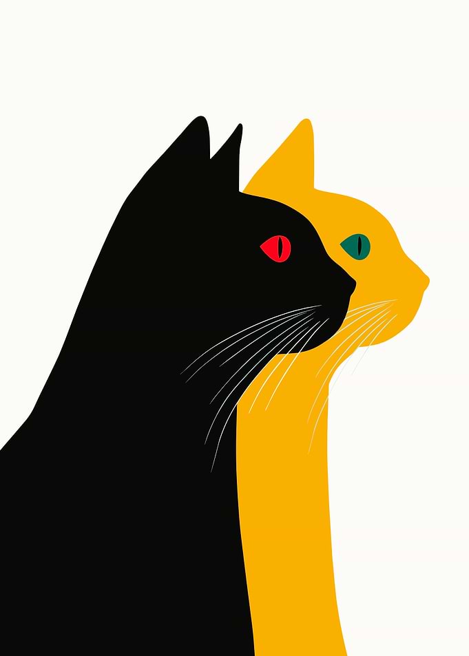 Black and Yellow Cats