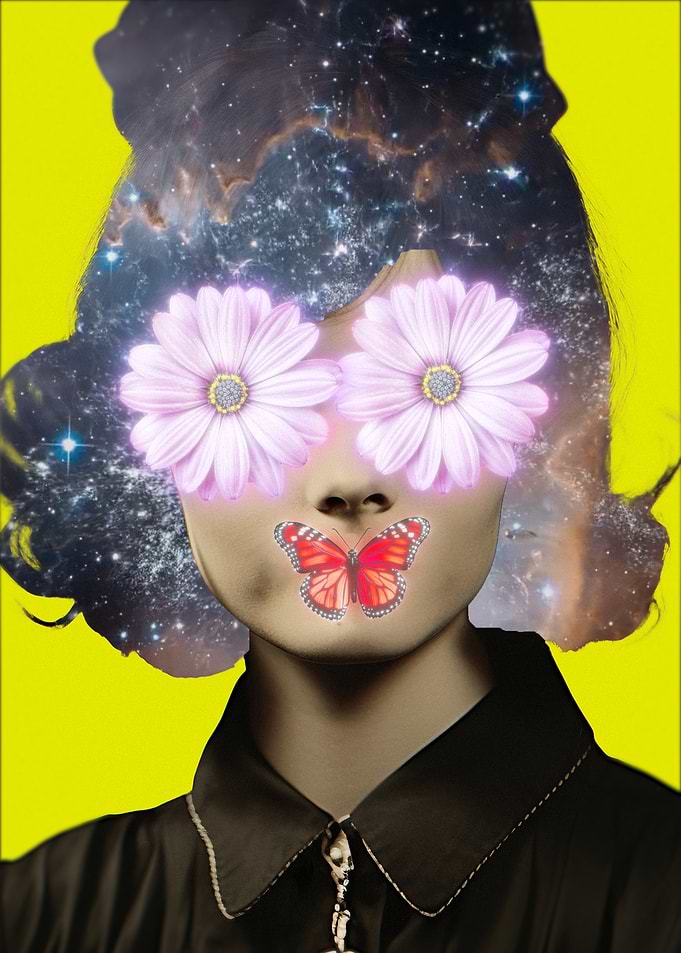 Cosmic Metamorphosis: Blossoms, Wings, and Silent Stars