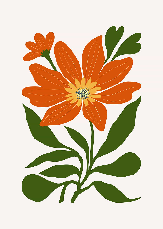 Orange Flower Illustration