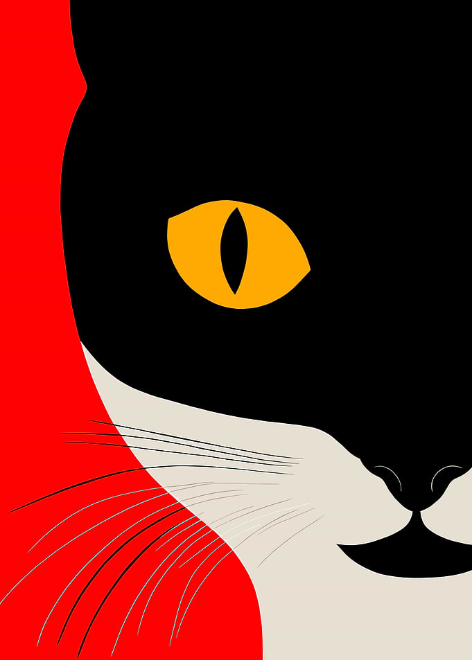 Cat Eye Close-Up