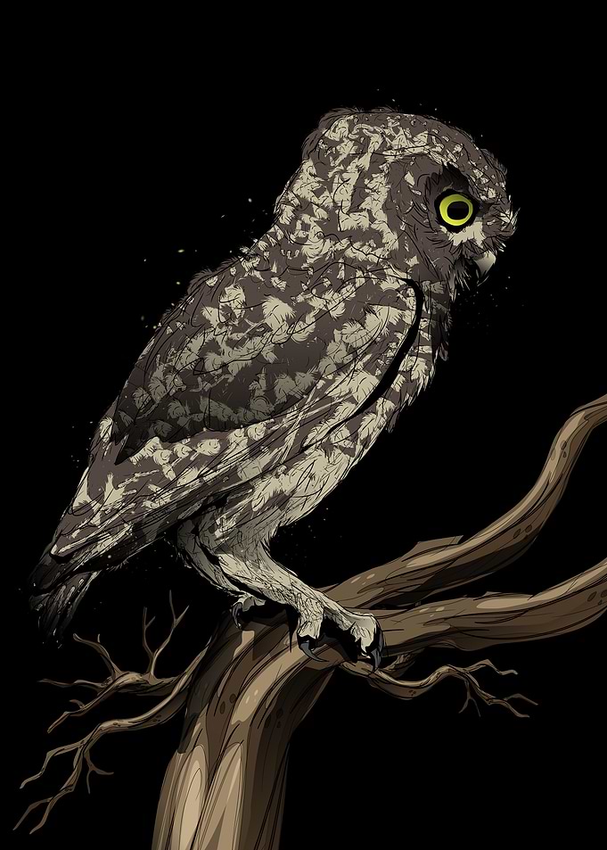Enchanting Tawany Owl