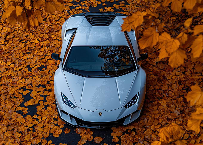 White Lamborghini in Autumn