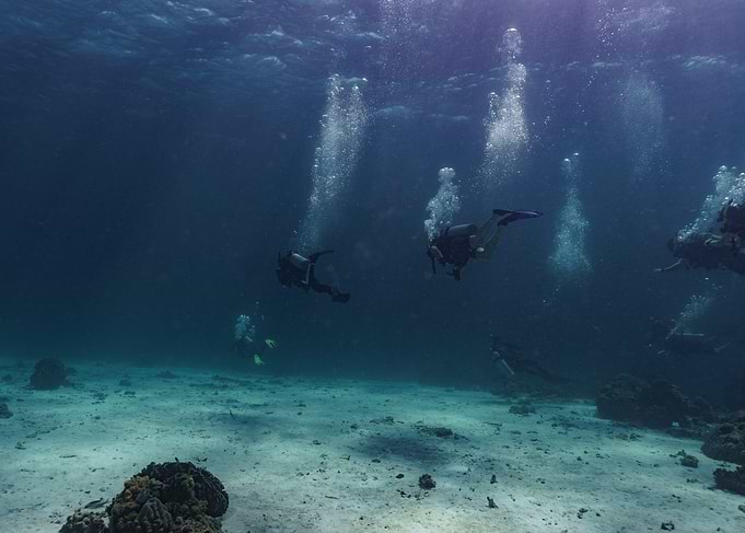 Scuba Divers Underwater