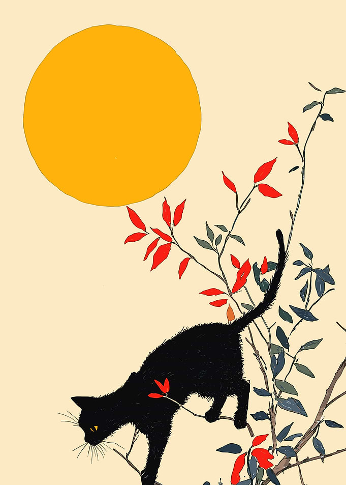 Black Cat in a Tree