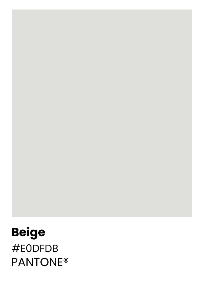 Beige Color Swatch