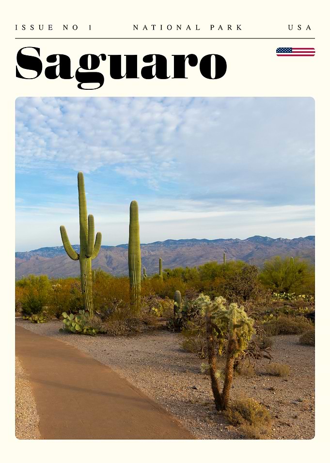 Saguaro National Park Travel Art Poster