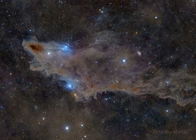 Shark Nebula in Deep Space