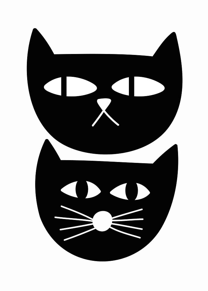 Two Black Cats