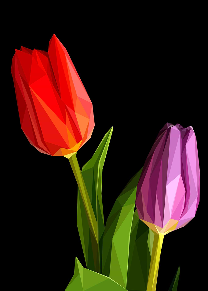 Low Poly Red Purple Tulips