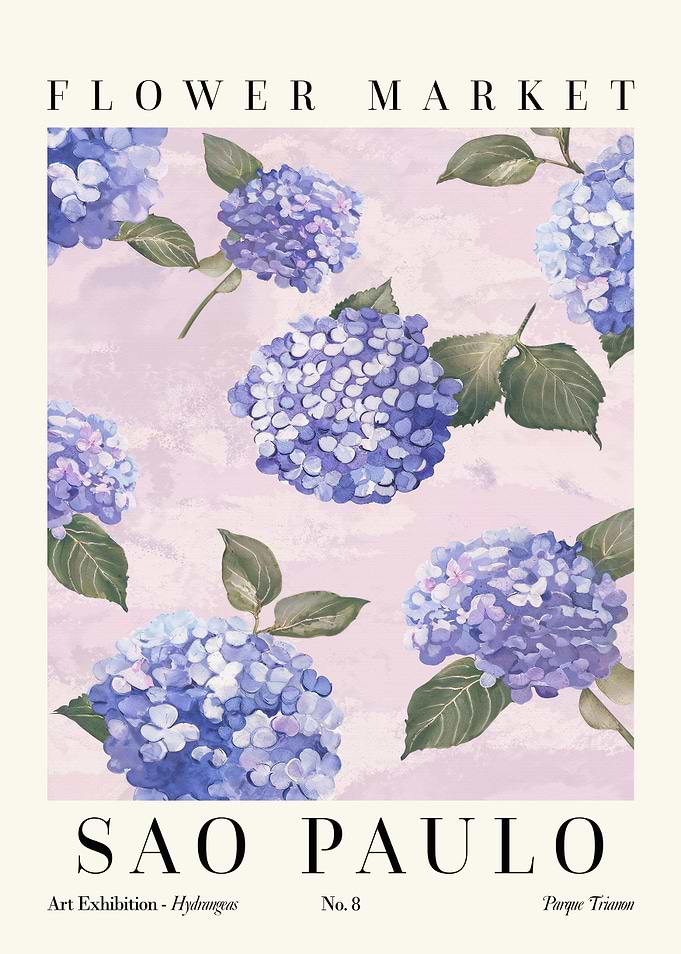 Hydrangea Sao Paulo Flower Market