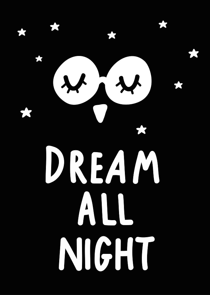 Dream All Night Owl