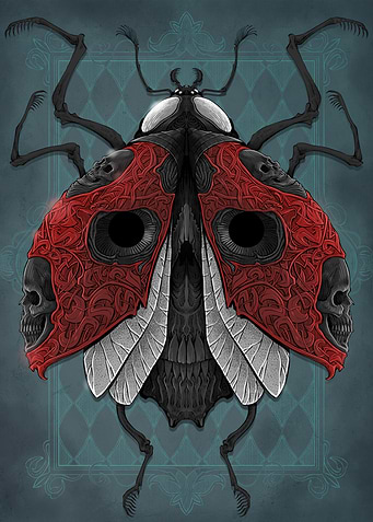 Ladybug
