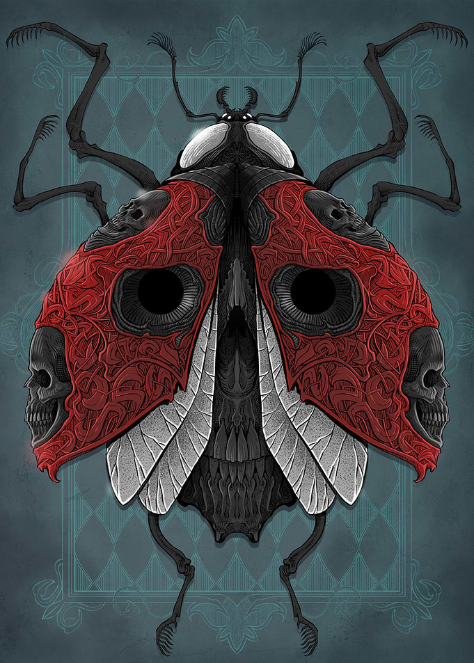 Ladybug