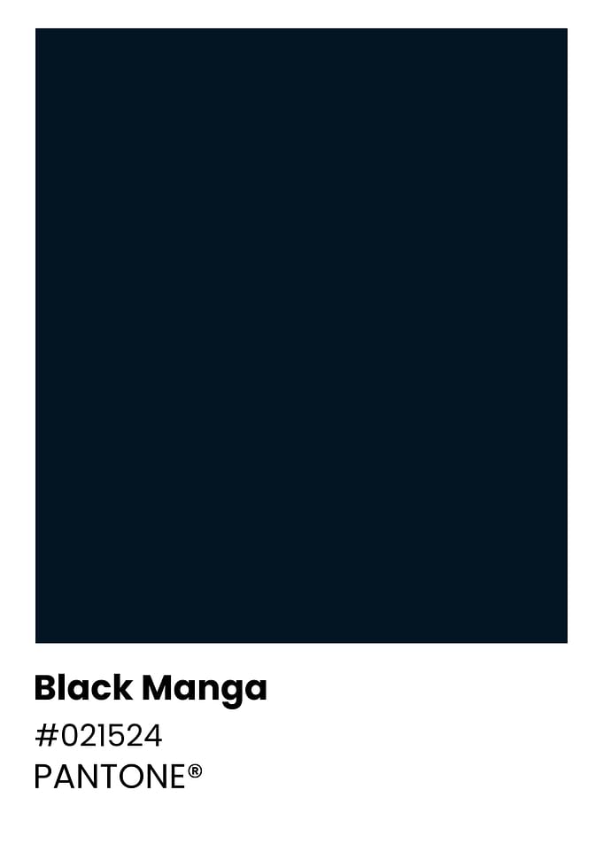 Pantone Black Manga Color