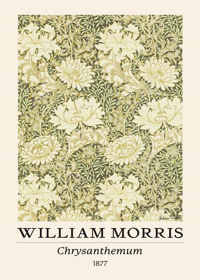 William Morris Chrysanthemum Botanical