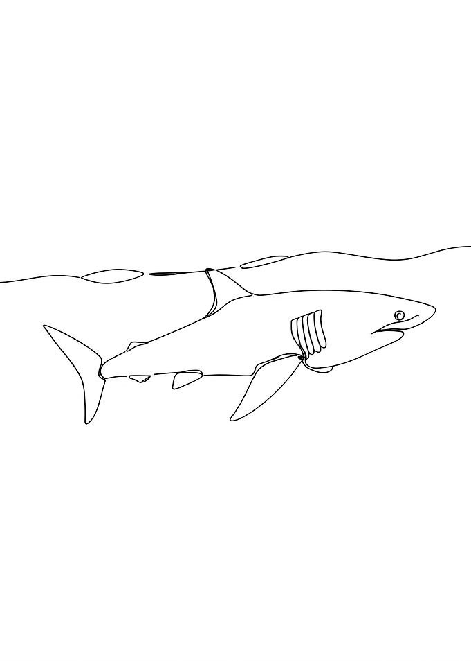Minimalist Shark Line Art