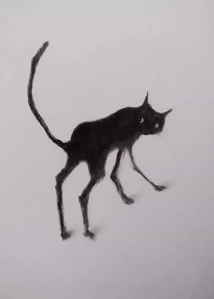 Black Cat Sketch
