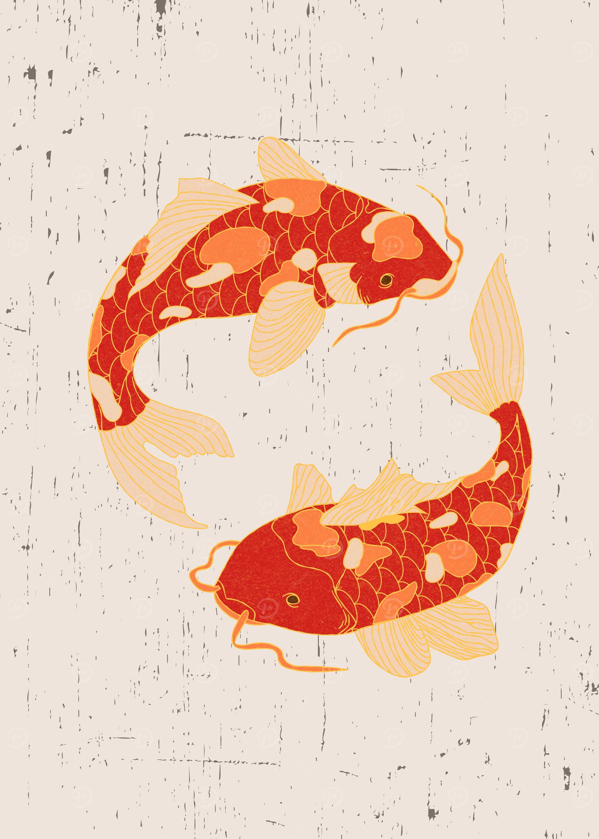 Koi Fish Illustration
