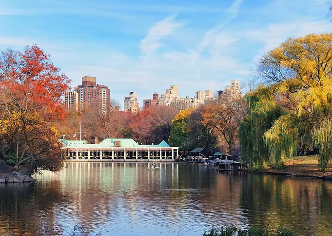Autumn Lake in Central Park