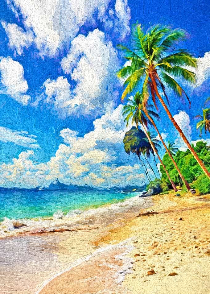 Tropical Beach Paradise