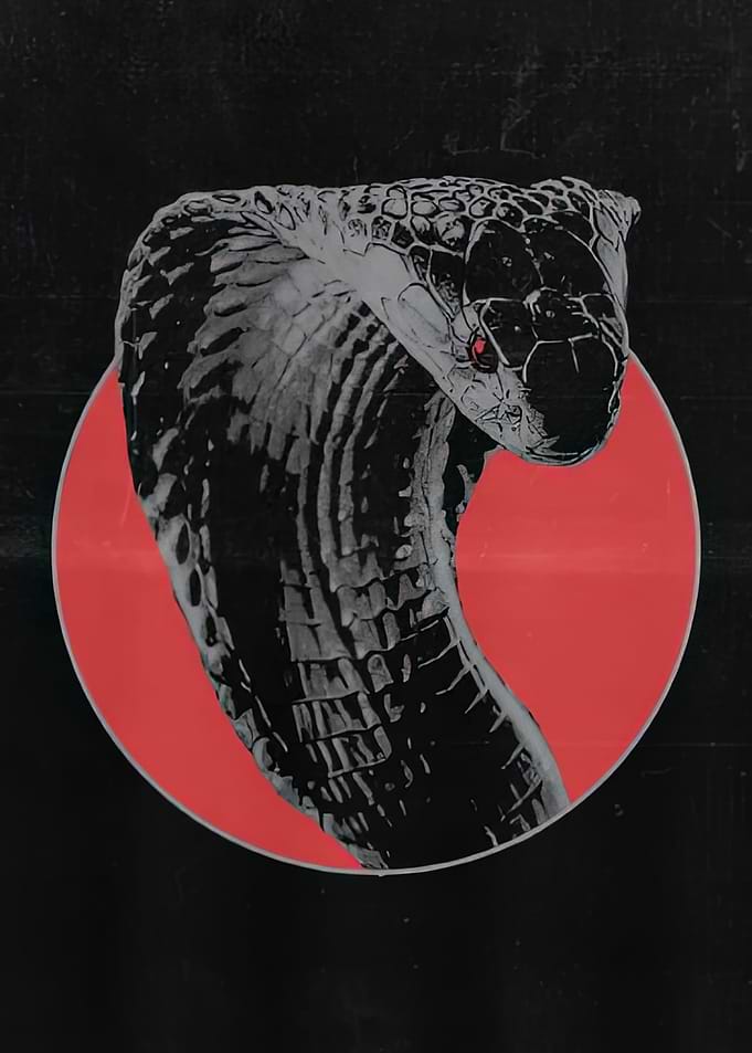 Cobra in Red Circle