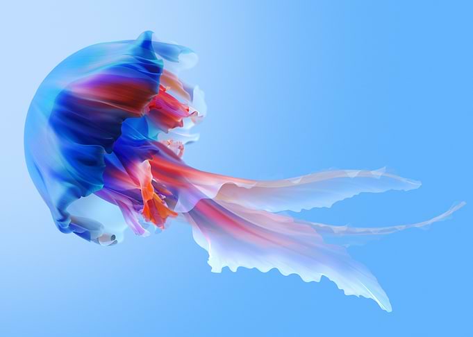 Abstract Jellyfish