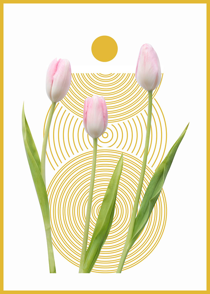 Tulips and Circles