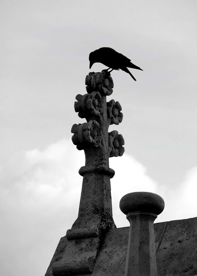 The Raven and the Cross