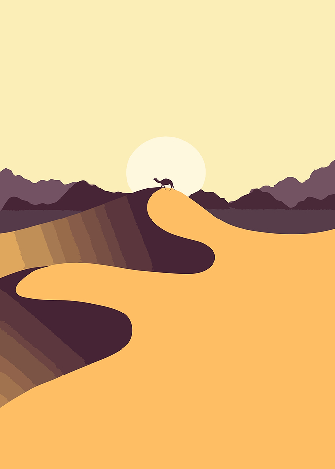 Camel Silhouette in Desert