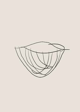 Basket Line Art