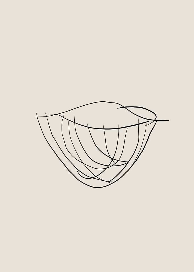 Basket Line Art