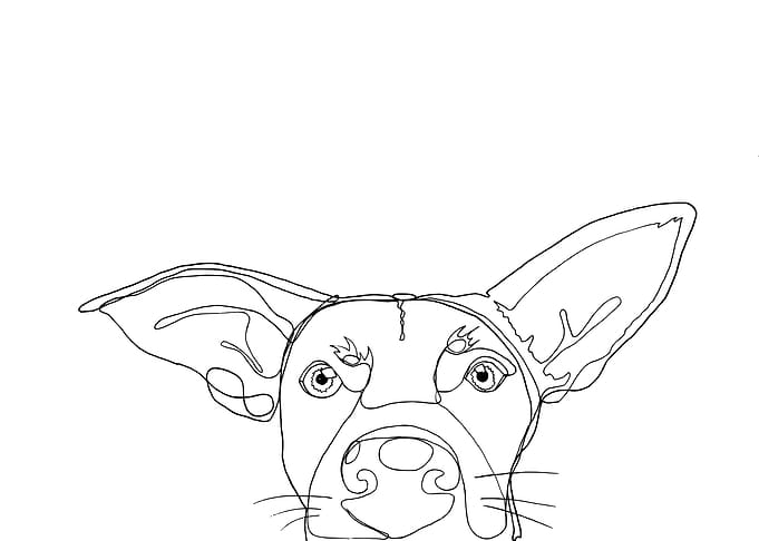 Dog Line Art