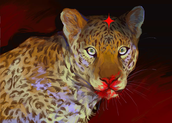 Leopard