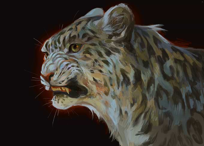 Snow Leopard