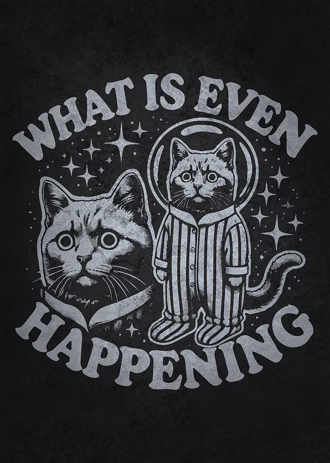 What Is Even Happening – Space Cat Existential Meme