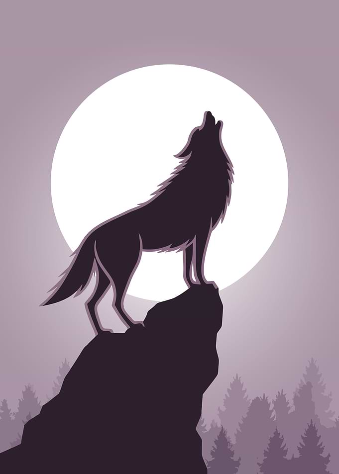 Wolf Howling at the Moon