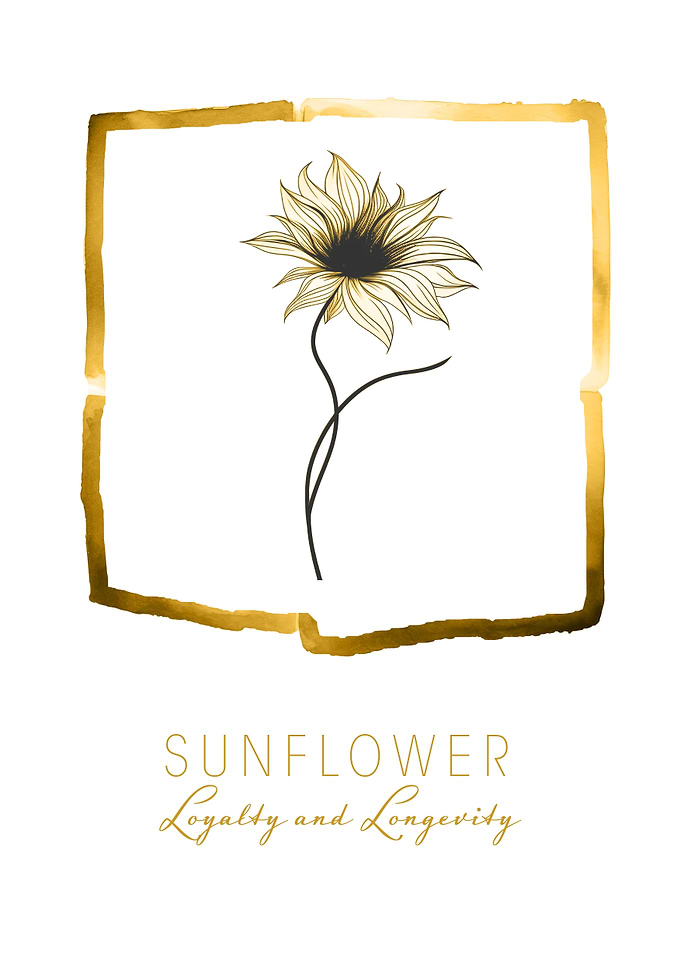 Sunflower Loyalty & Longevity