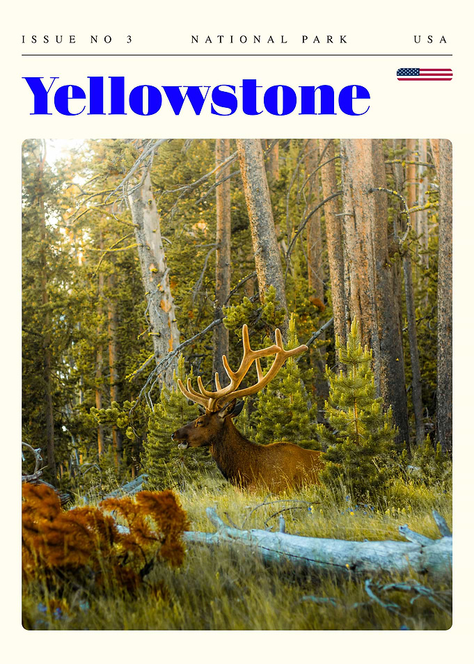 Yellowstone National Park Travel Art Poster