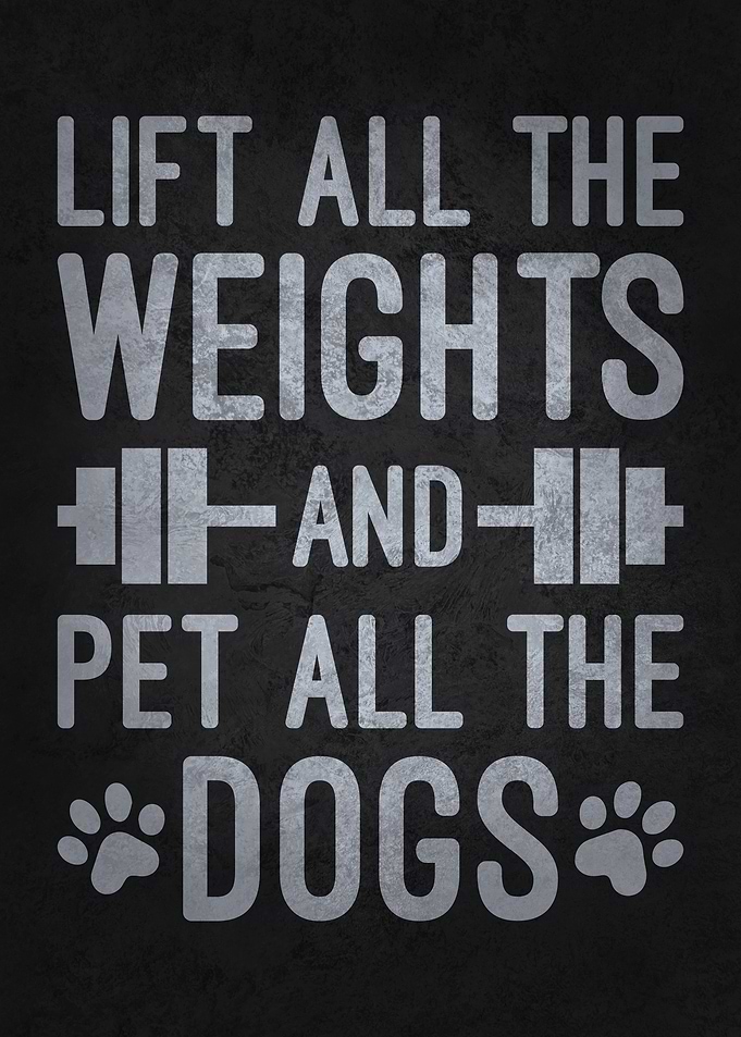 Lift Weights & Pet Dogs – Funny Gym Dog Lover