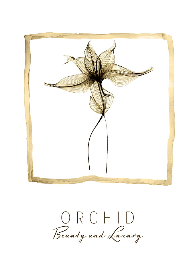 Orchid Beauty & Luxury