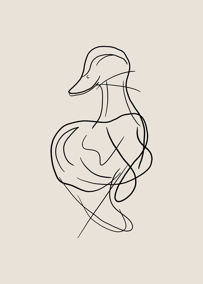 Duck Line Art