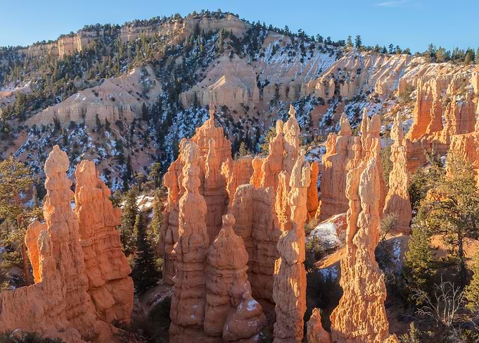 Bryce Canyon Hoodoos