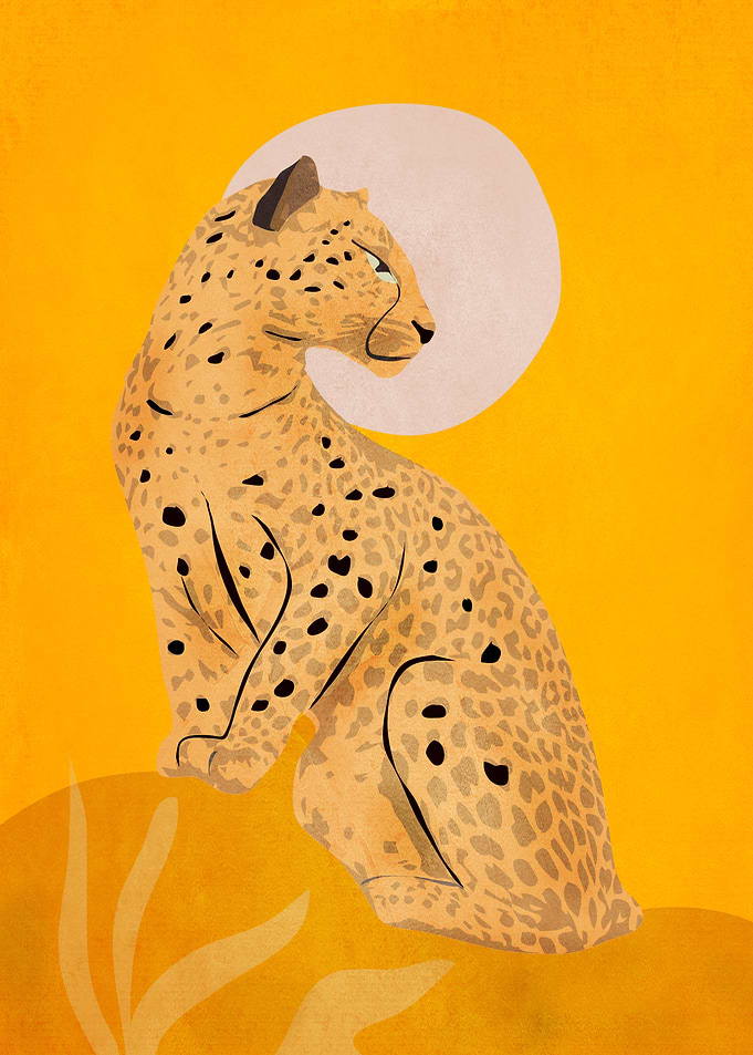 Cheetah in Sunset