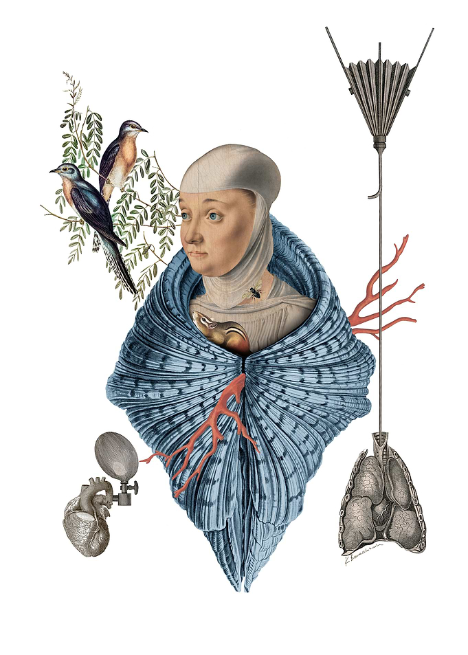 Surreal Collage with Woman in a Sea Shell