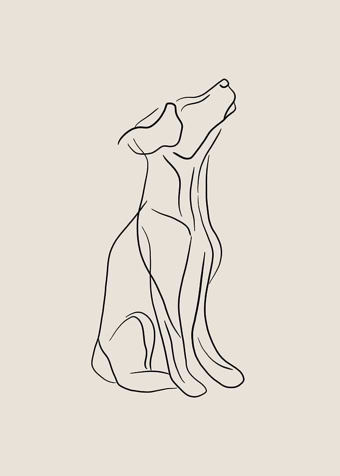 Dog Line Art