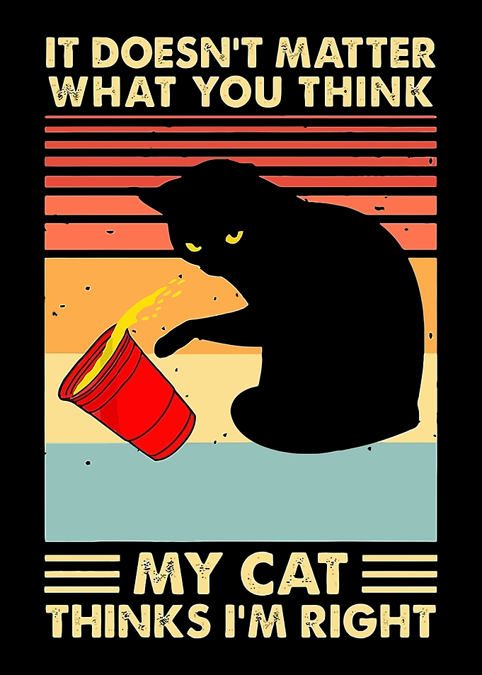 My Cat Thinks I'm Right